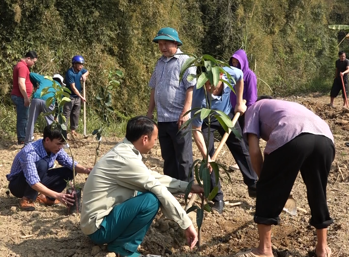 Quản Bạ: Lễ phát động Tết trồng cây năm 2024 tại xã Đông Hà.