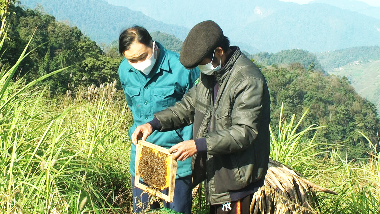 Quản Bạ: Phát triển nghề nuôi ong mật tại xã Thái An.