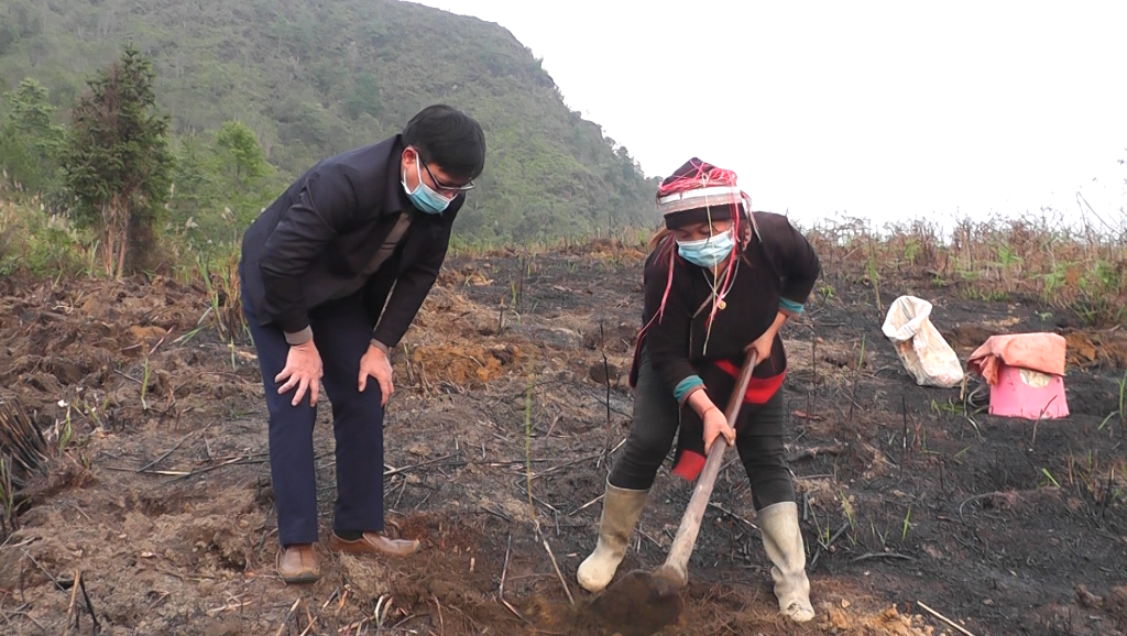 Lãnh đạo huyện Quản Bạ kiểm tra trồng cây ăn quả ôn đới tại xã Quản Bạ