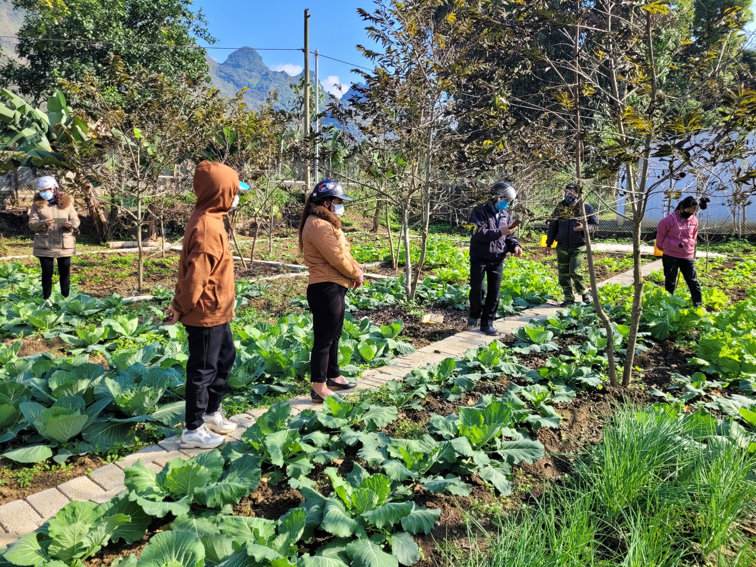 Quản Bạ: Sơ kết 01 năm thực hiện chương trình cải tạo vườn tạp tại xã Đông Hà.