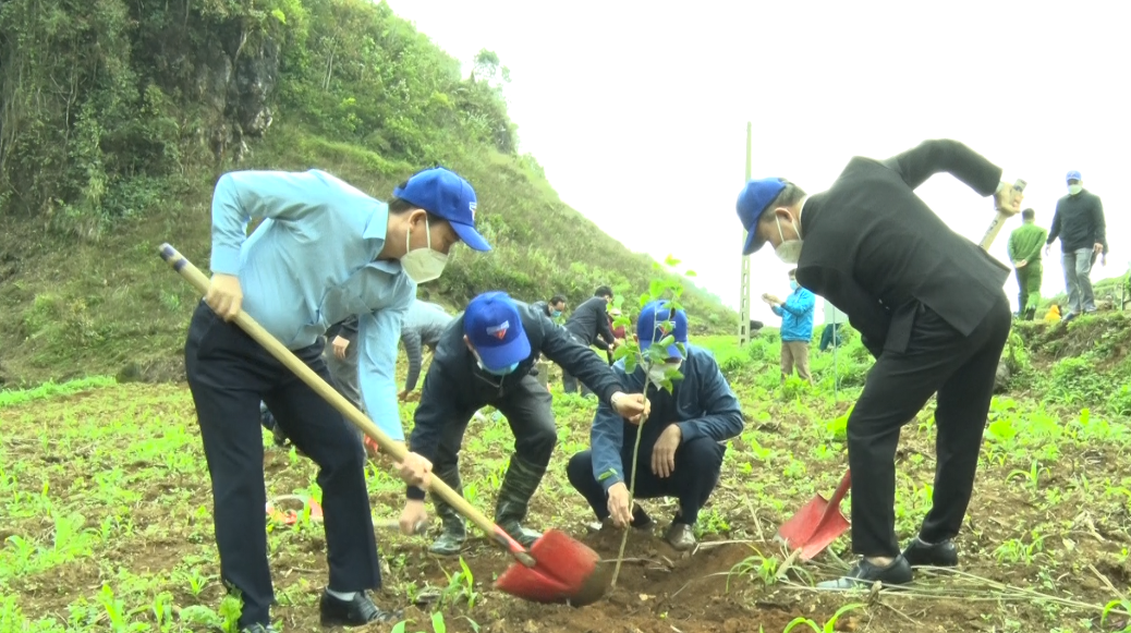 Quản Bạ: Lễ phát động trồng cây ăn quả ôn đới gắn với tạo cảnh quan du lịch tại xã Quyết Tiến
