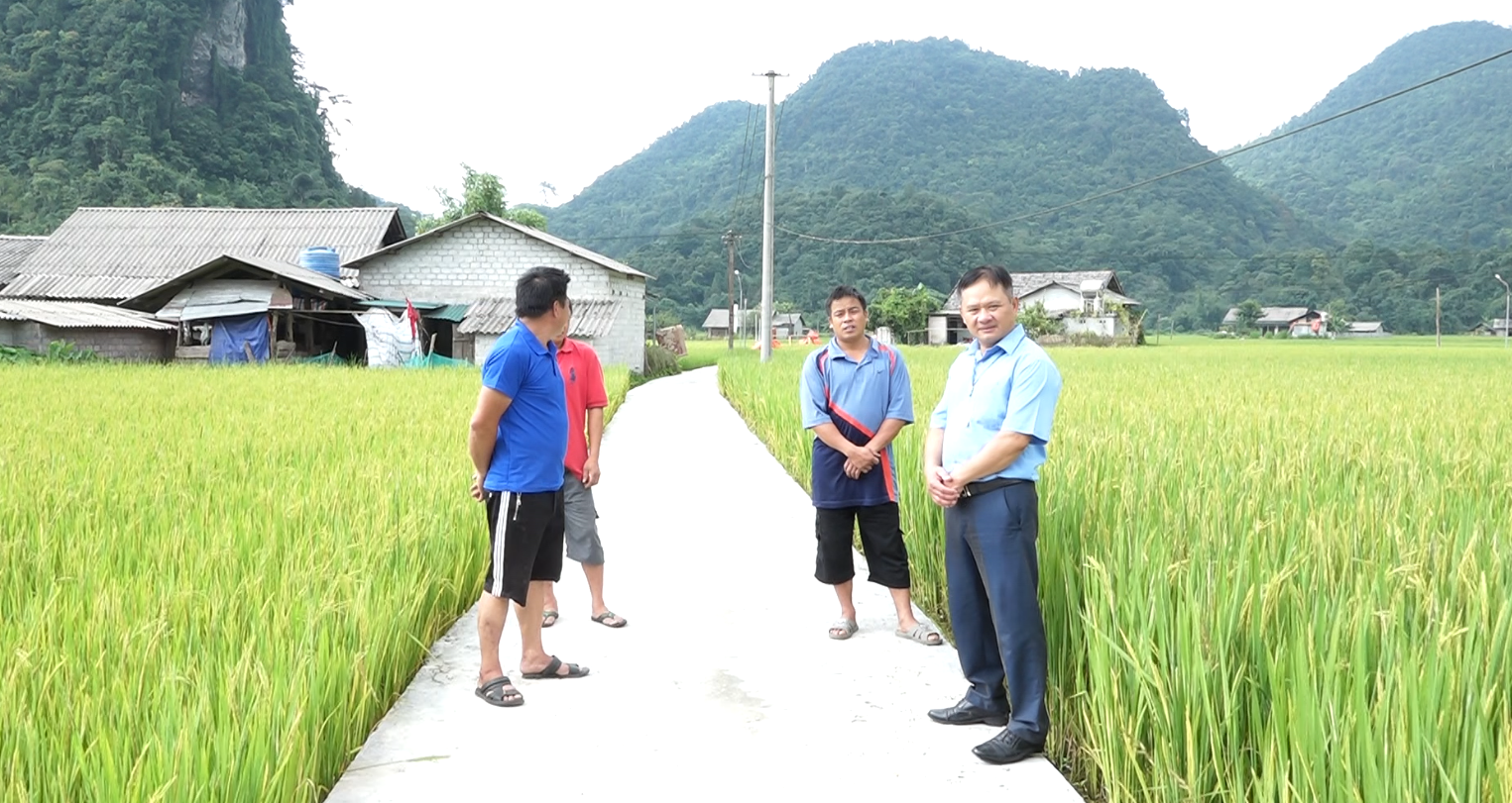 Quản Bạ: Hoàn thành các tuyến đường bê tông Nông thôn mới năm 2022 tại xã Tùng Vài.