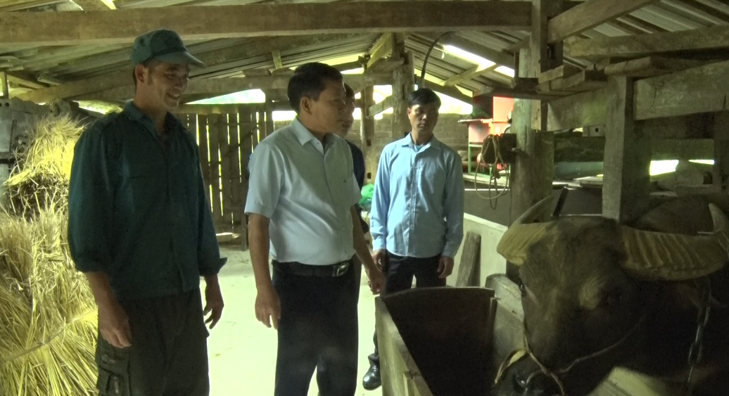 Bí thư Huyện ủy Quản Bạ kiểm tra tình hình cải tạo vườn tạp tại xã Tùng Vài
