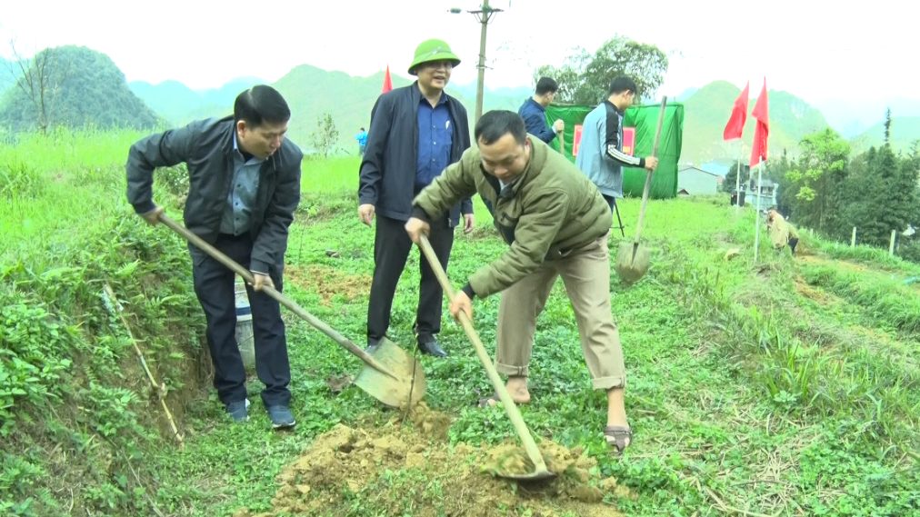 Thị trấn Tam Sơn phát động trồng cây ăn quả ôn đới