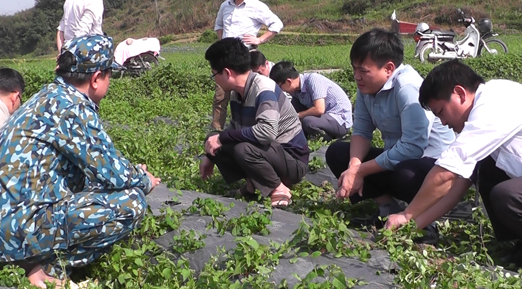 Đoàn công tác của UBND huyện Quản Bạ kiểm tra tại xã Tùng Vài.