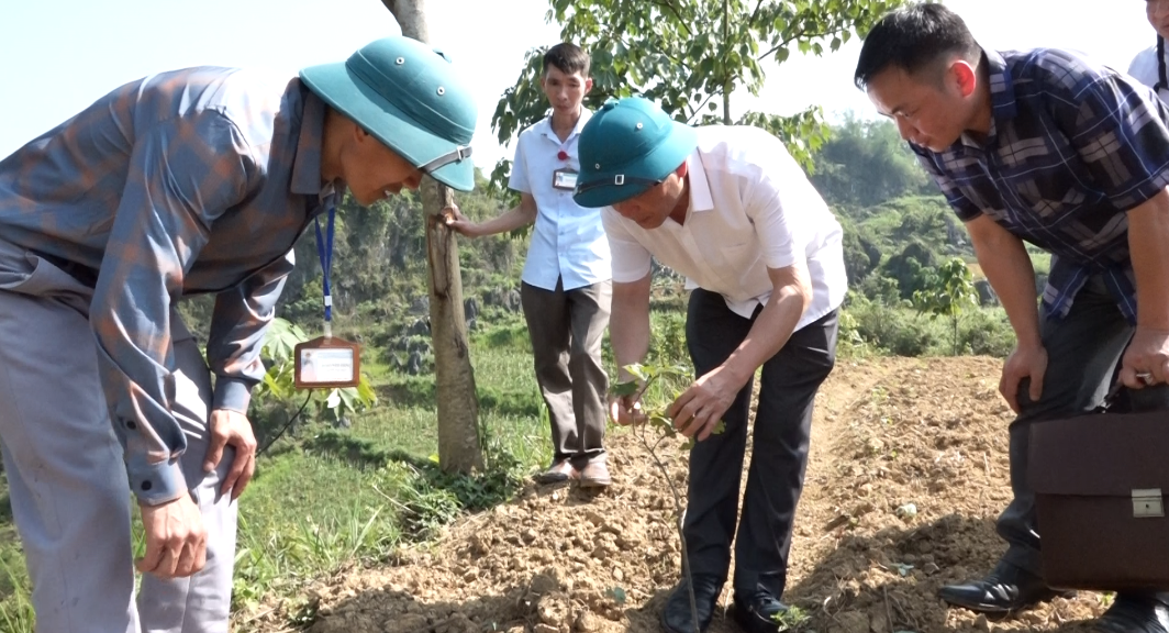 Đoàn giám sát chuyên đề HĐND huyện giám sát kết quả thực hiện các nội dung, định mức hỗ trợ sản xuất nông nghiệp tại huyện Quản Bạ.